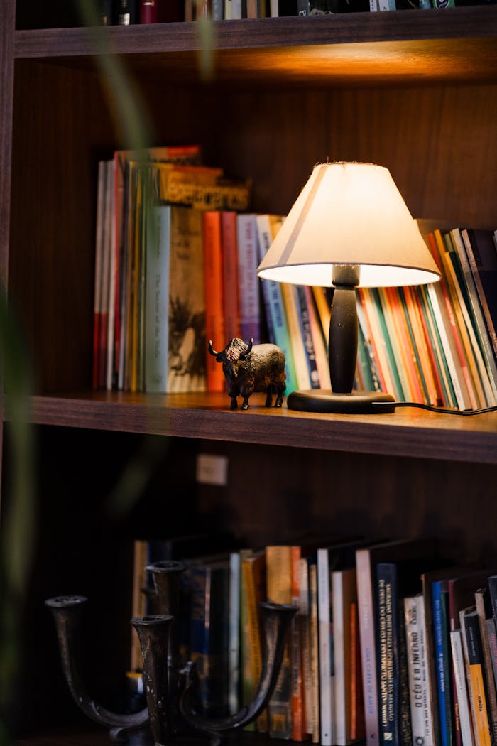 Warmly lit bookshelf with colorful books, a lamp, and a small rhino figurine.