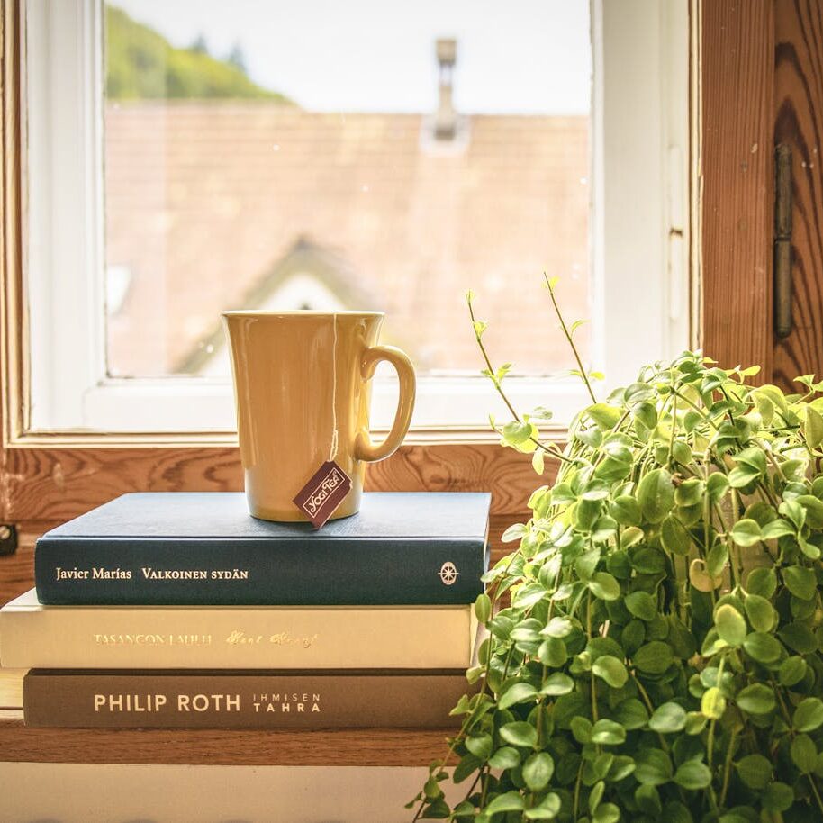 A warm scene featuring a mug and books by a sunny window, perfect for relaxation and reading.
